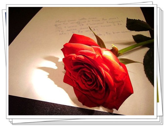 love rose letter